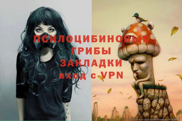 стаф Аркадак